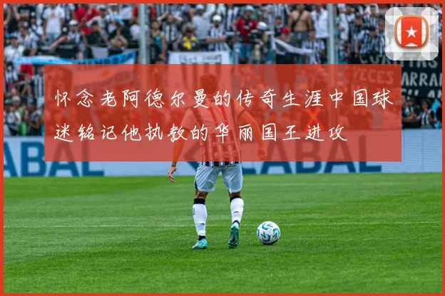 怀念老阿德尔曼的传奇生涯中国球迷铭记他执教的华丽国王进攻