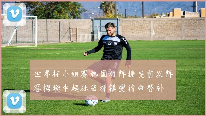 世界杯小组赛韩国对阵捷克首发阵容揭晓中超独苗朴镇燮待命替补